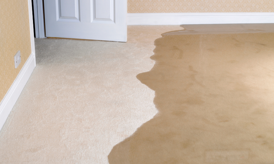 Bester Wassermelder mit Abschaltung – Top 5 Anbieter